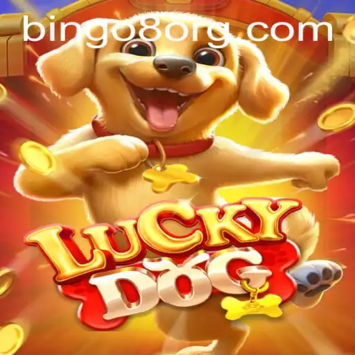 Discover LuckyDog: The Thrilling World of Bingo8